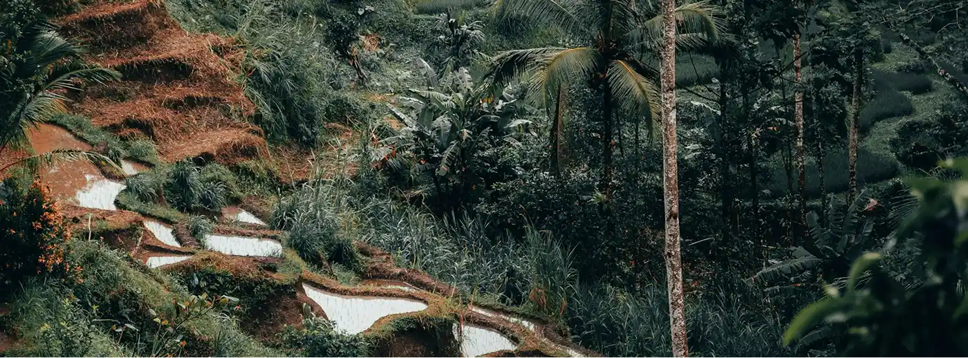 Scenic view of Bali mountains and valleys, representing diverse Bali tour packages