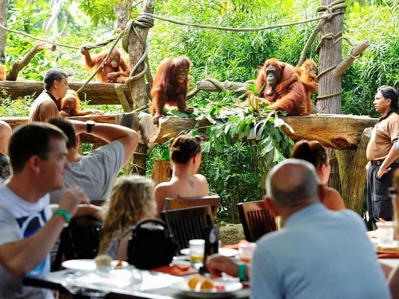 Breakfast with Orangutans & Bali Zoo - Popular tour package by Bali Bagus Journey