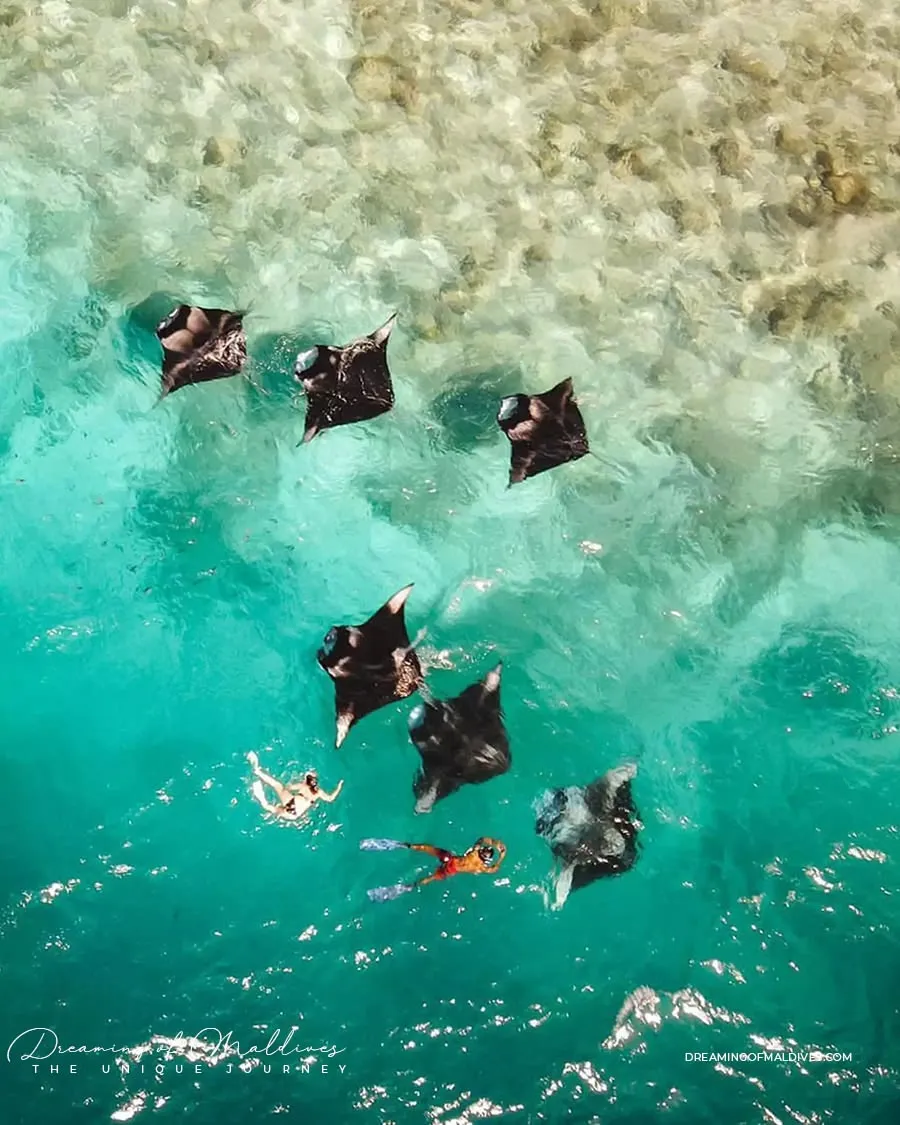 Nusa Penida West & Snorkeling Tour