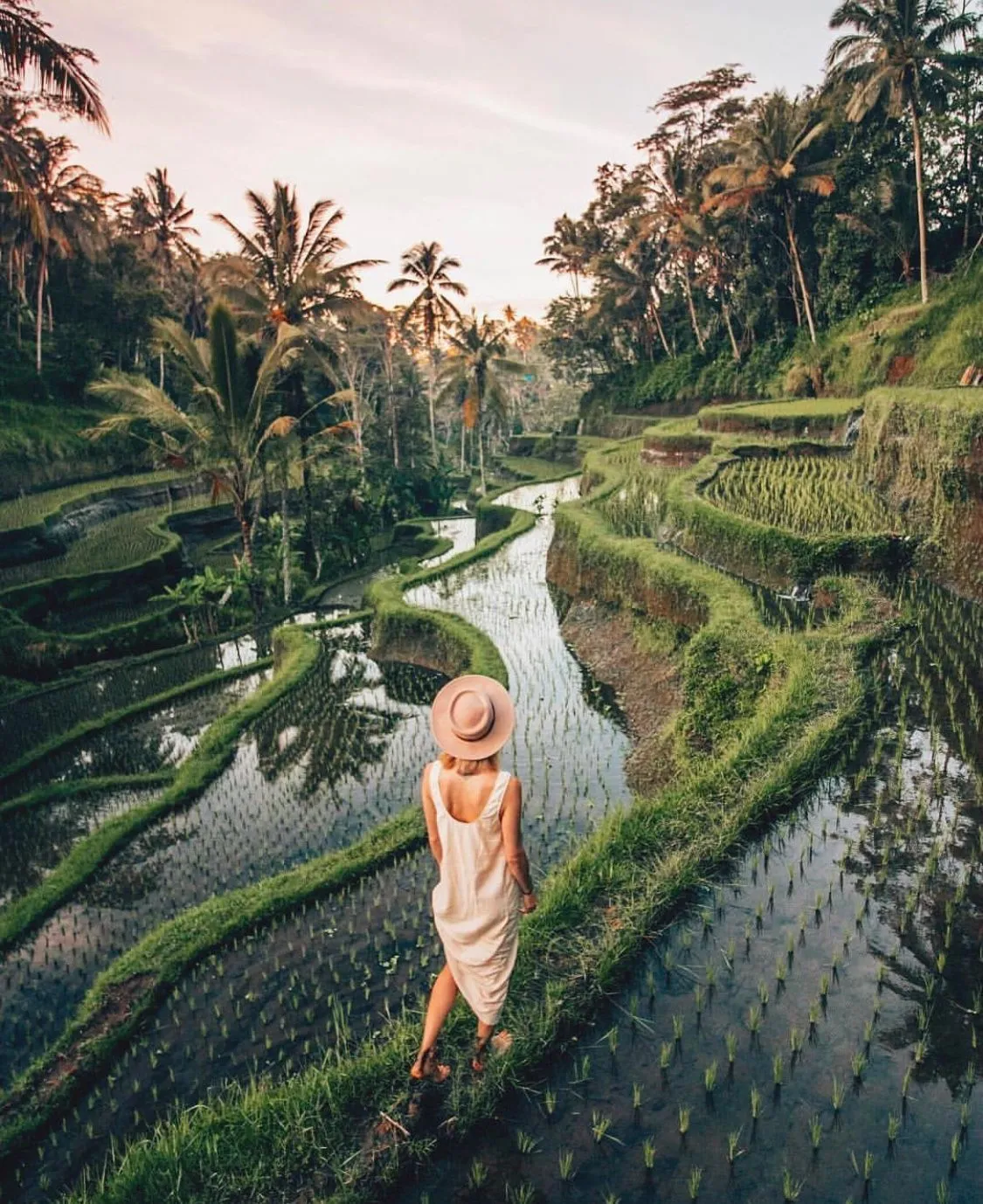 Ubud Cultural Tour