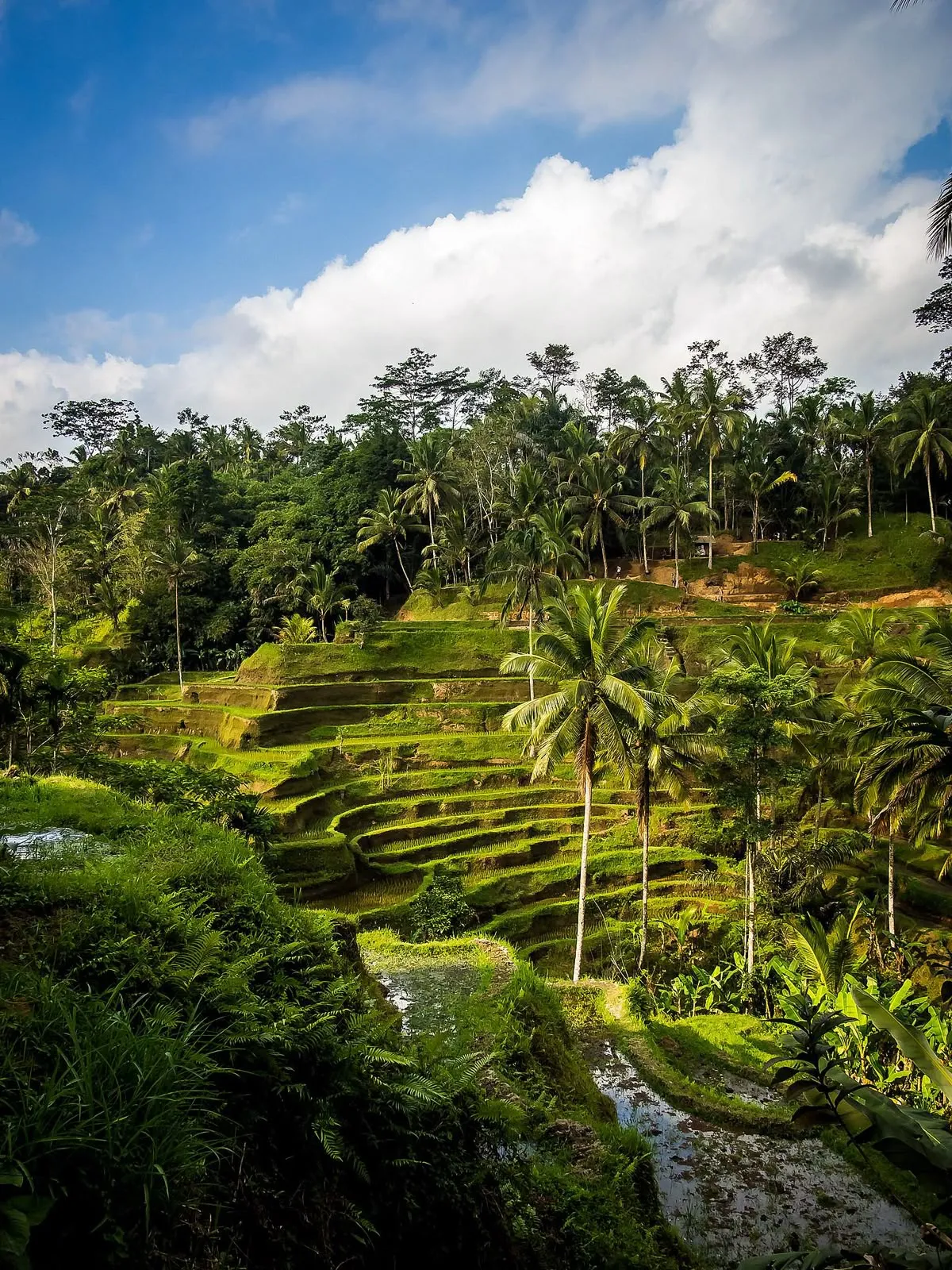 Ubud Cultural Tour
